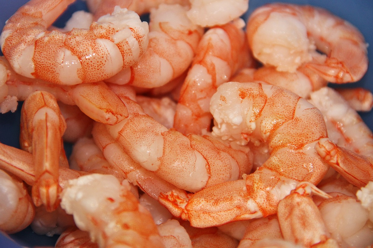 shrimp, seafood, fresh-3560003.jpg