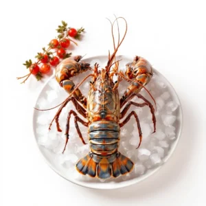 Petite cigale de mer surgelée